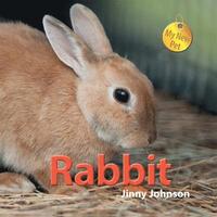 My New Pet: Rabbit