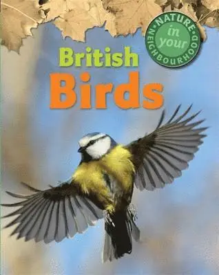 Clare Collinson - Nature in Your Neighbourhood: British Birds, Häftad. Tillgänglighet: Lägg i varukorg