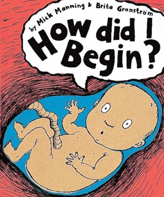 Mick Manning - How Did I Begin?, E-bok