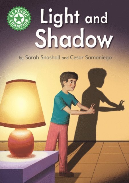 Sarah Snashall - Light and Shadow, E-bok