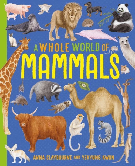Anna Claybourne - Mammals, E-bok. Tillgänglighet: Lägg i varukorg