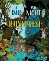 Day and Night: In a Rainforest