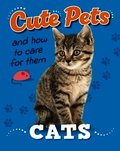 Cute Pets! And How to Care For Them: Cats