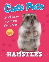 Cute Pets! And How to Care For Them: Hamsters