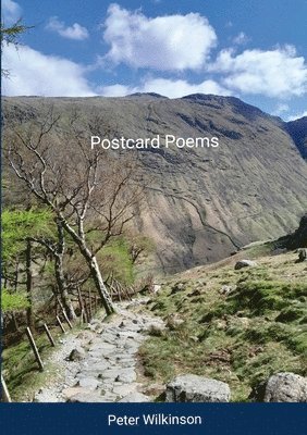 Peter Wilkinson - Postcard Poems, Häftad. Tillgänglighet: Lägg i varukorg
