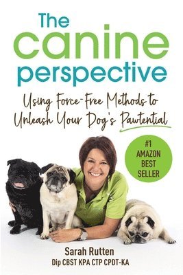 Canine Perspective