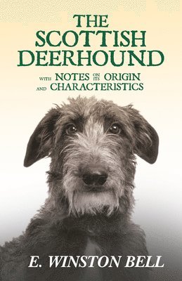 E Winston Bell - Scottish Deerhound With Notes On Its Origin And Characteristics, Häftad. Tillgänglighet: Lägg i varukorg