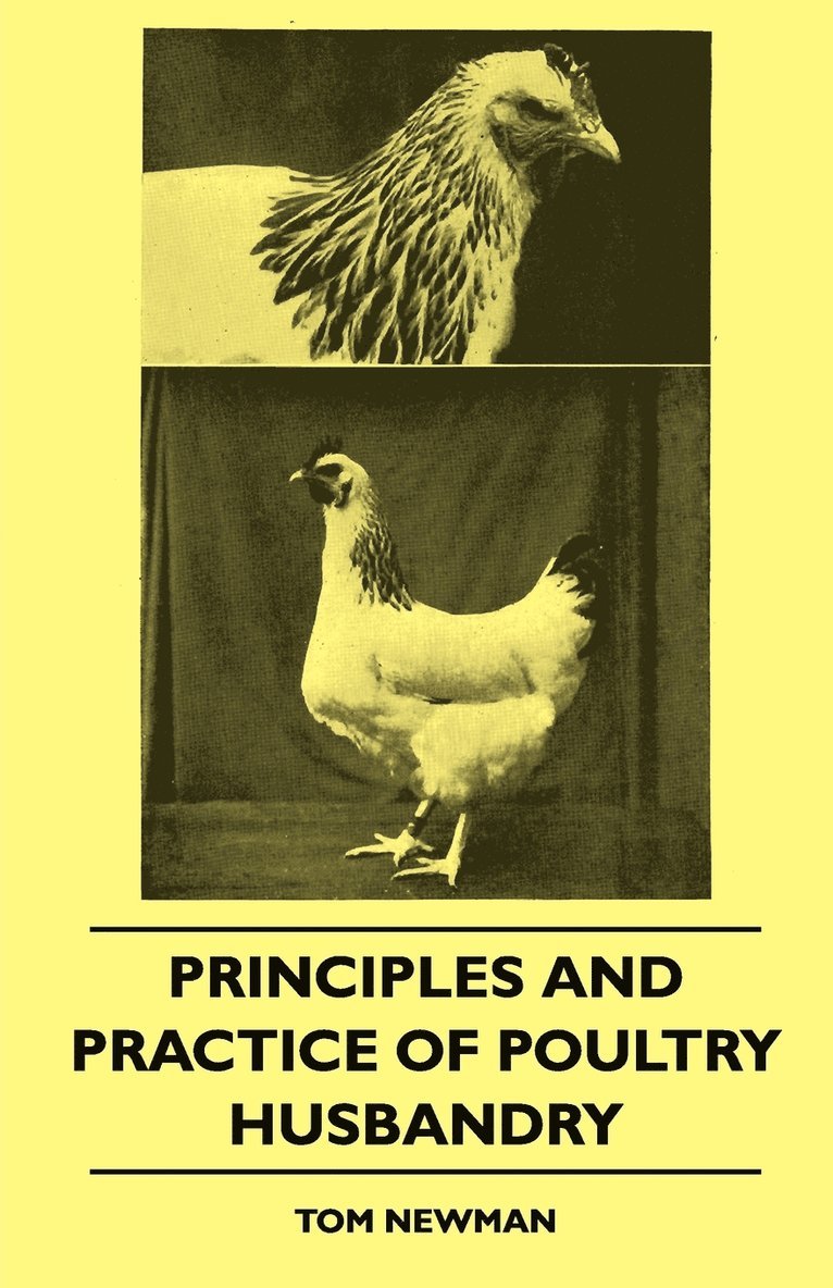 Tom Newman - Principles And Practice Of Poultry Husbandry, Häftad. Tillgänglighet: Lägg i varukorg