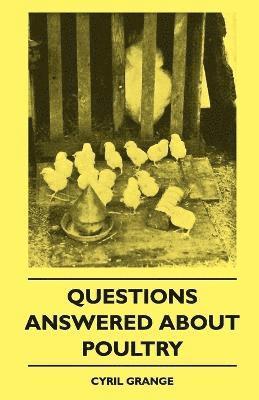 Cyril Grange - Questions Answered About Poultry, Häftad