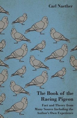 Carl Naether - Book Of The Racing Pigeon - Fact And Theory From Many Source Including The Author's Own Experience, Häftad. Tillgänglighet: Lägg i varukorg
