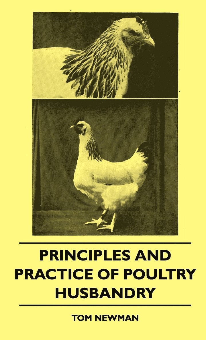 Tom Newman - Principles And Practice Of Poultry Husbandry, Inbunden. Tillgänglighet: Lägg i varukorg