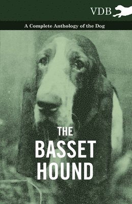 Basset Hound - A Complete Anthology of the Dog - av Various