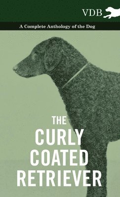 Curly Coated Retriever - A Complete Anthology of the Dog - av Various