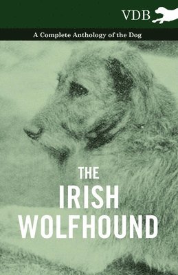 Irish Wolfhound - A Complete Anthology of the Dog av Various