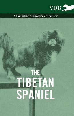Various - Tibetan Spaniel - A Complete Anthology of the Dog, Inbunden