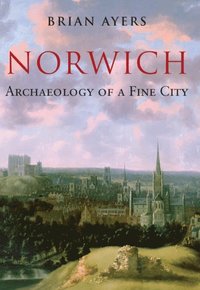 Norwich Archaeology of a Fine City