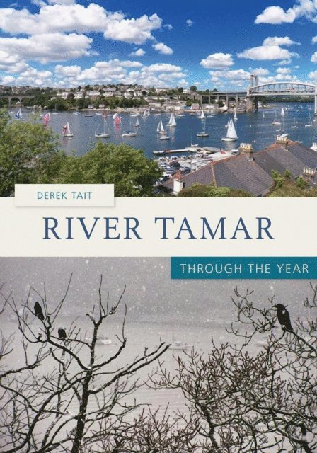 Derek Tait - River Tamar Through the Year, E-bok
