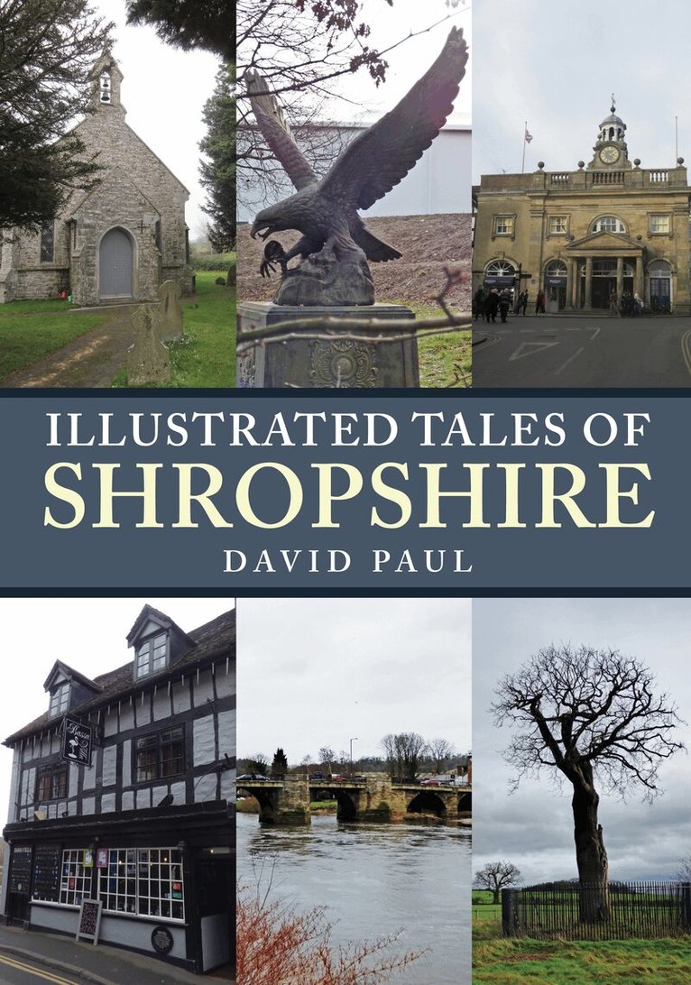 David Paul - Illustrated Tales of Shropshire, Häftad