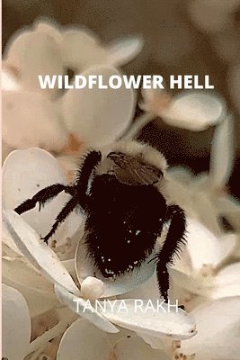 Tanya Rakh - Wildflower Hell, Häftad. Tillgänglighet: Lägg i varukorg