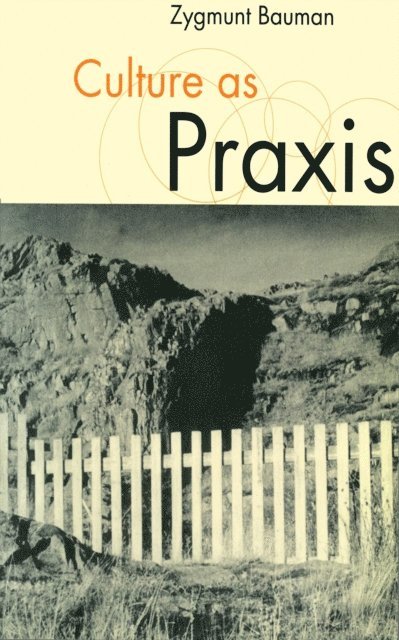 Zygmunt Bauman - Culture as Praxis, E-bok