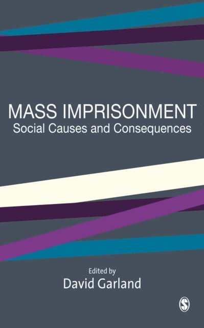 David Garland - Mass Imprisonment, E-bok