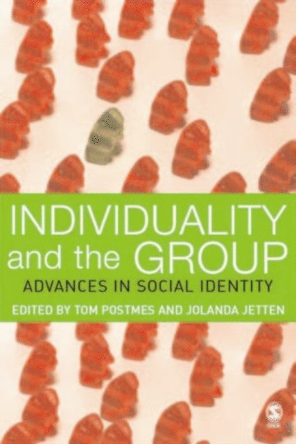 Jolanda Jetten, Tom Postmes - Individuality and the Group, E-bok