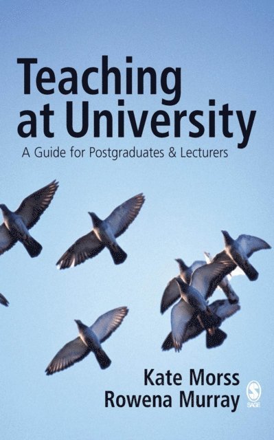 Rowena Murray, Kate Morss - Teaching at University, E-bok