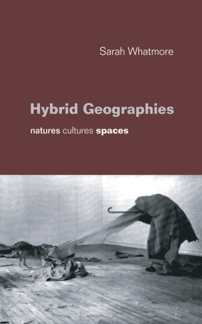 Sarah Whatmore - Hybrid Geographies, E-bok