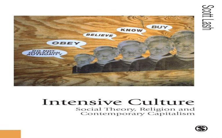 Scott Lash - Intensive Culture, E-bok