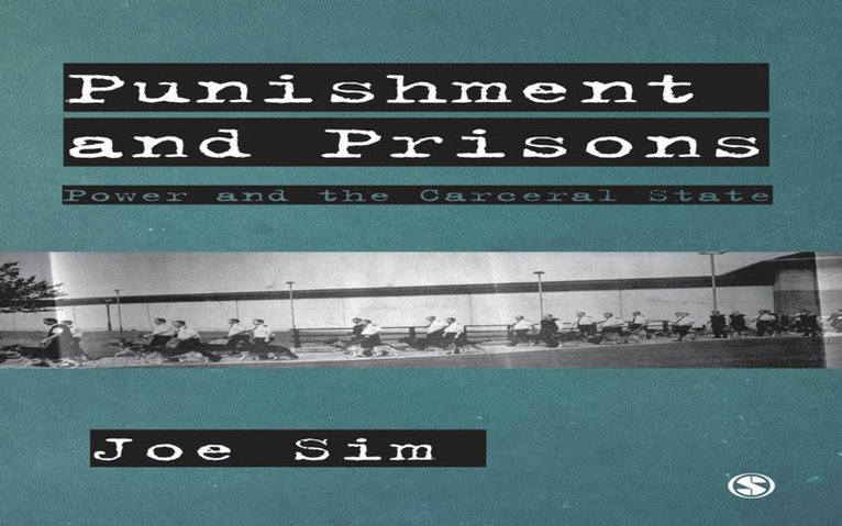 Joe Sim - Punishment and Prisons, E-bok