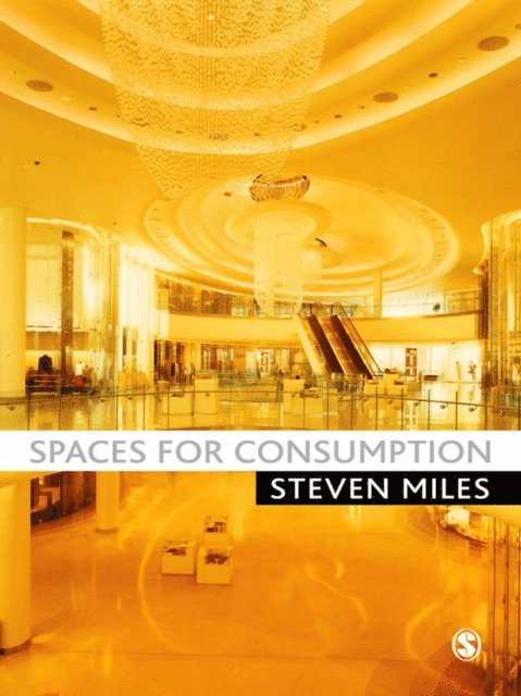 Steven Miles - Spaces for Consumption, E-bok