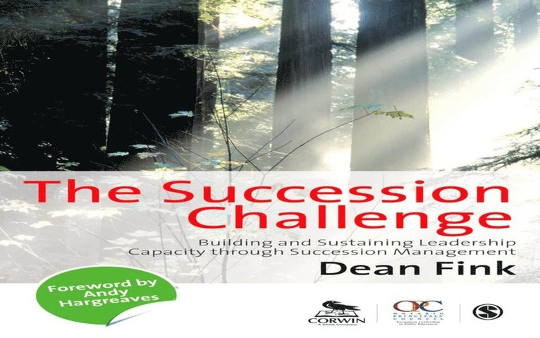 Dean Fink - Succession Challenge, E-bok