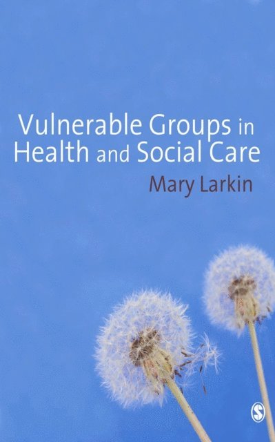 Mary Larkin - Vulnerable Groups in Health and Social Care, E-bok