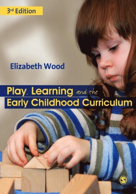 Elizabeth Wood - Play, Learning and the Early Childhood Curriculum, E-bok