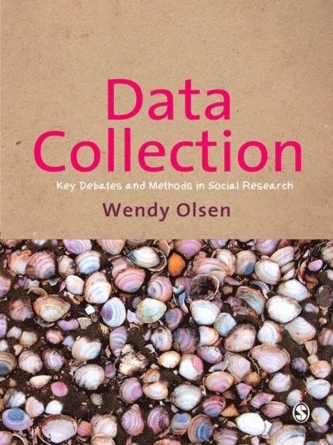 Wendy Olsen - Data Collection, E-bok