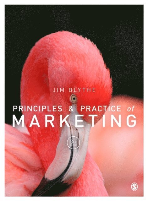 Jim Blythe - Principles and Practice of Marketing, E-bok