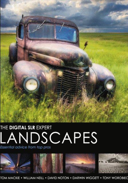 Tony Worobiec, Darwin Wiggett, David Noton, William Neill, Tom Mackie - Landscapes, E-bok