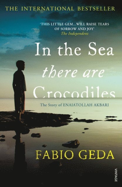 Fabio Geda - In the Sea There Are Crocodiles, E-bok