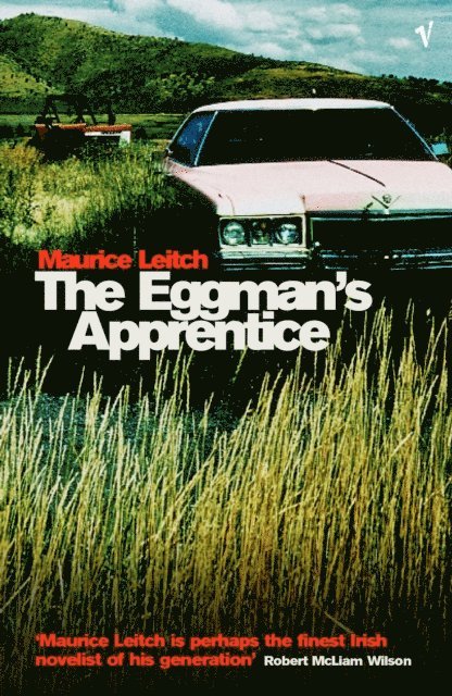 Maurice Leitch - Eggman's Apprentice, E-bok