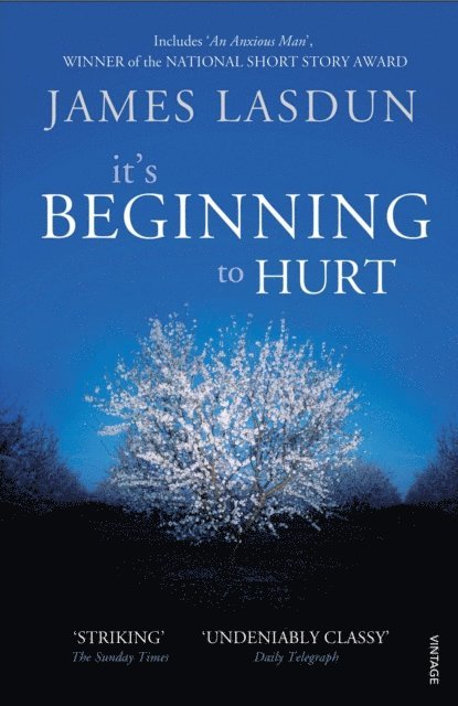 James Lasdun - It's Beginning To Hurt, E-bok