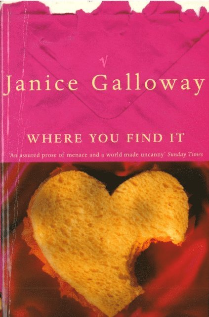 Janice Galloway - Where You Find It, E-bok