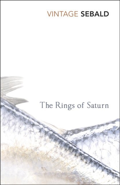 W.G. Sebald - Rings of Saturn, E-bok