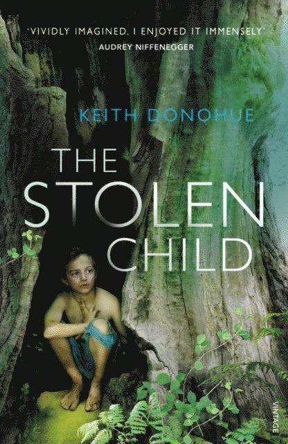 Keith Donohue - Stolen Child, E-bok