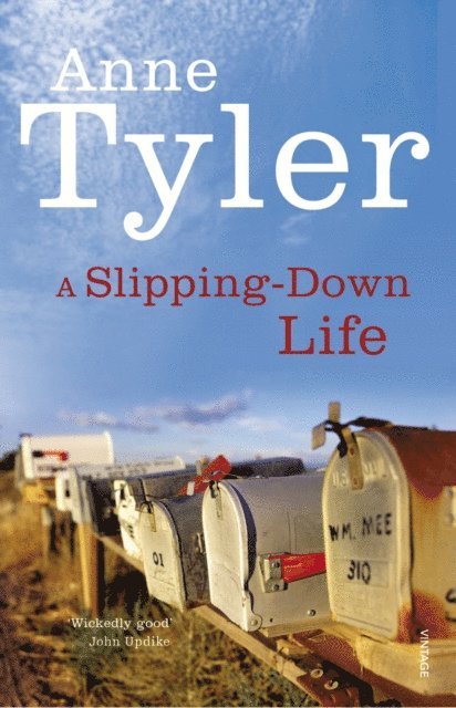 Anne Tyler - Slipping Down Life, E-bok