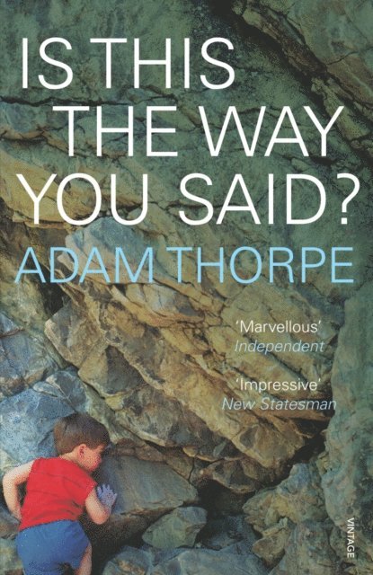 Adam Thorpe - Is This The Way You Said?, E-bok. Tillgänglighet: Lägg i varukorg