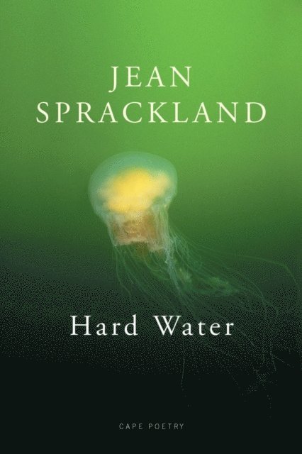Jean Sprackland - Hard Water, E-bok