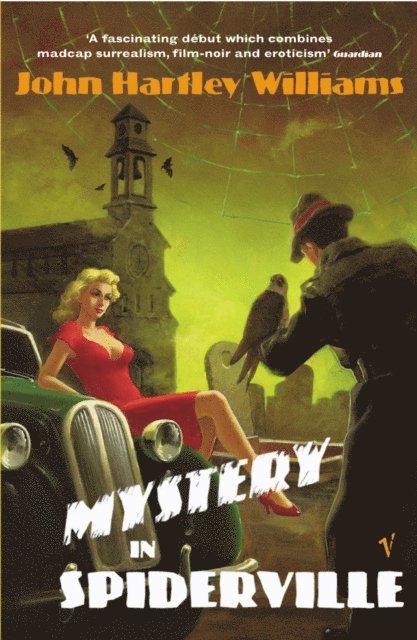 John Hartley Williams - Mystery In Spiderville, E-bok