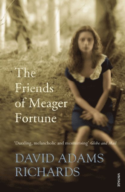 David Adams Richards - Friends of Meager Fortune, E-bok