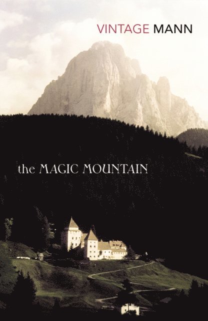 Thomas Mann - Magic Mountain, E-bok