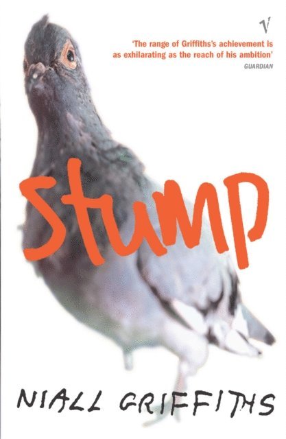 Niall Griffiths - Stump, E-bok